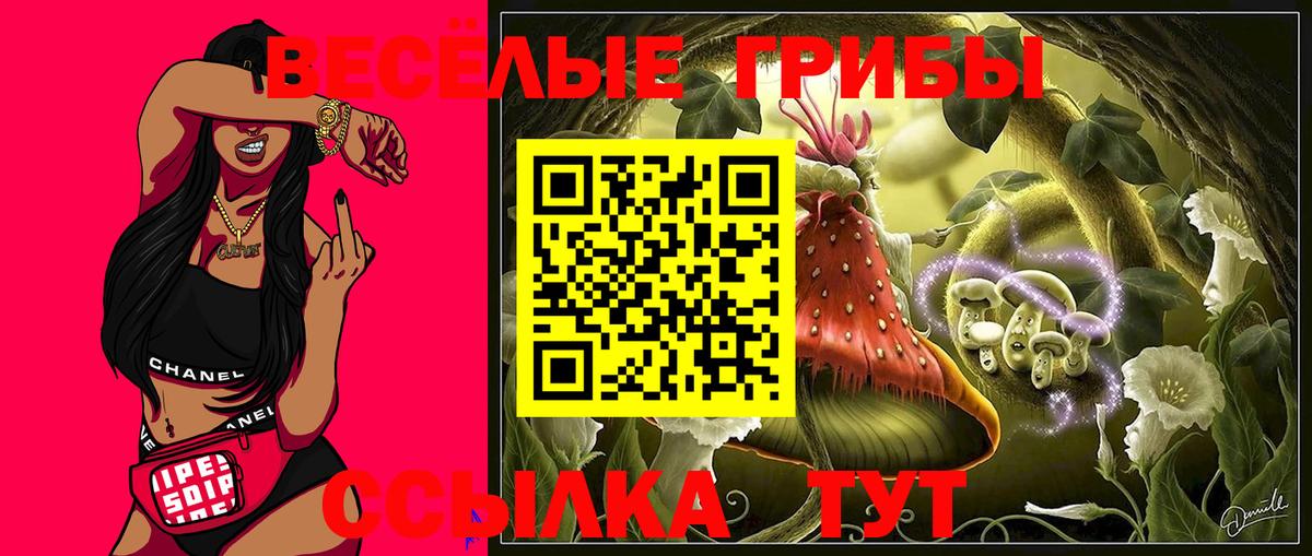 Псилоцибиновые грибы мухоморы Волхов