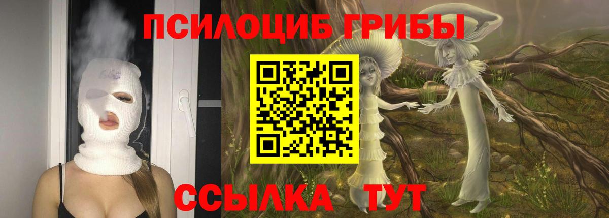 Псилоцибиновые грибы Magic Shrooms  Галлюциногенные грибы прущие грибы  Волхов  Вход с VPN 